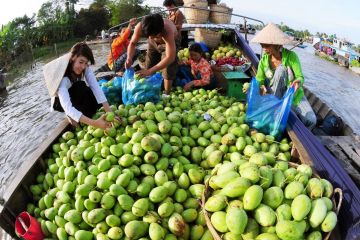 Ho Chi Minh City – Cai Be Floating Market – Tan Phong Island 1 Day