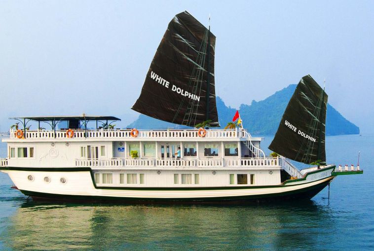 Luxury White Dolphin Cruise
