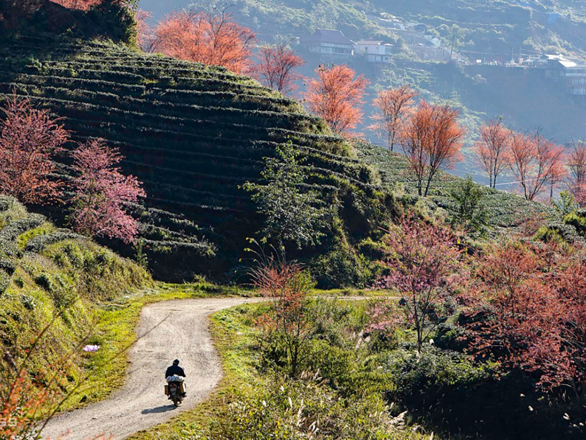 🌉 Ta Van Rattan Bridge – A Simple Beauty Hidden in Sapa’s Mountains