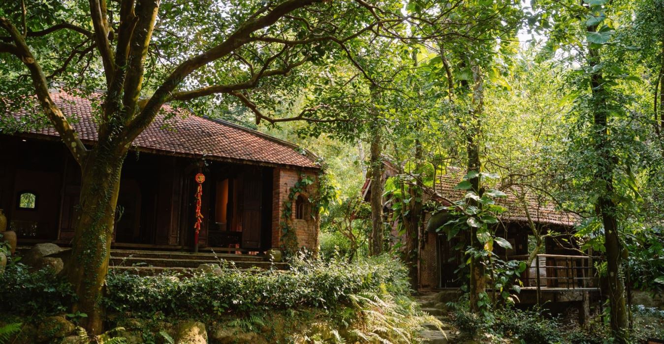 Dong Dinh Museum – A Hidden Cultural Gem Amidst Son Tra Forest, Da Nang