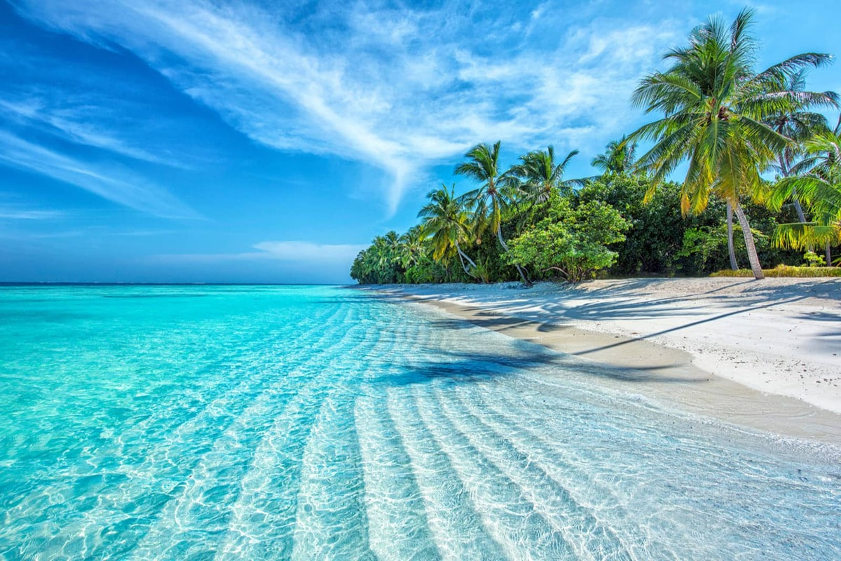 When Is the Best Time to Visit Nha Trang? Your Month-by-Month Guide
