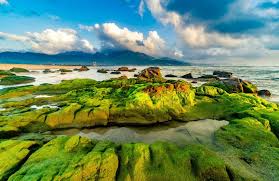 Discover Nam O Reef – Da Nang’s Hidden Mossy Wonderland