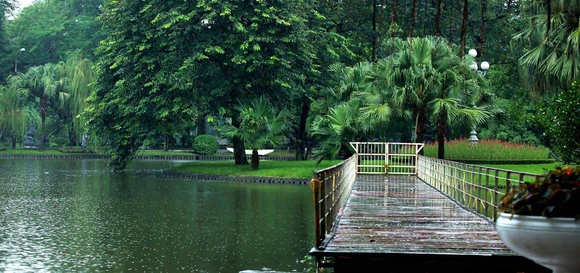 A Breath of Green Serenity: Discovering Hanoi’s Botanical Garden