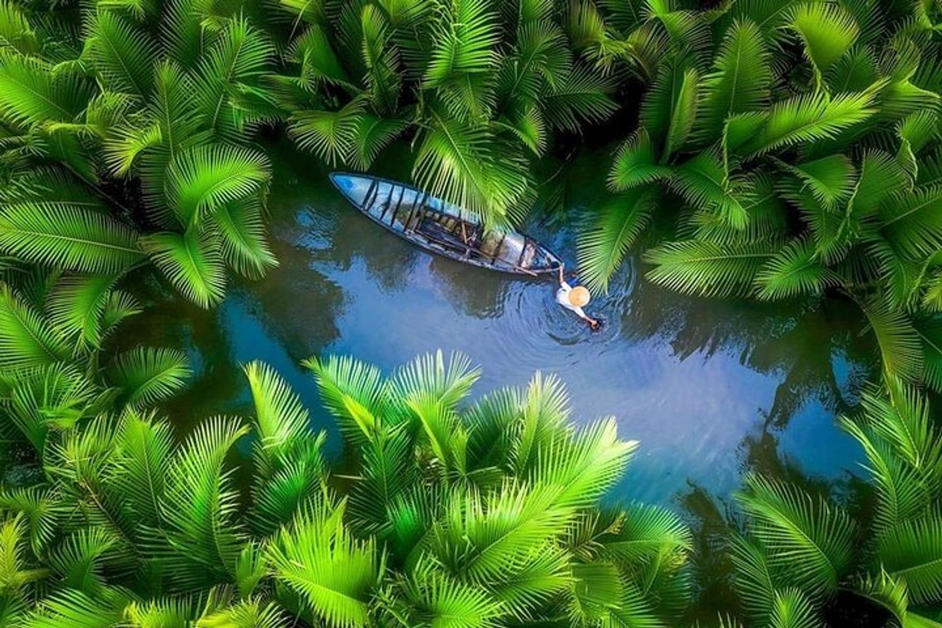 Cam Thanh Coconut Village: Exploring the Tranquil Coconut Jungles of Hoi An