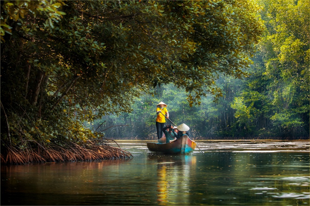 Can Gio Mangrove Forest – A Hidden Eco Paradise near Ho Chi Minh City